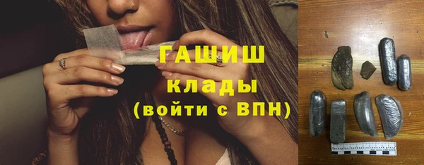 мдпв Богородицк