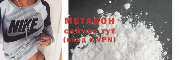 прущие грибы Бородино