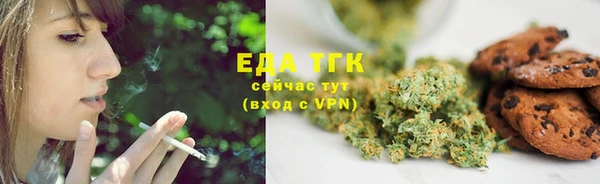прущие грибы Бородино