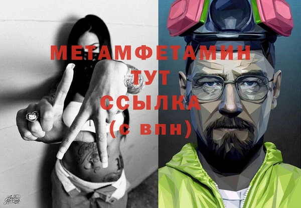 прущие грибы Бородино