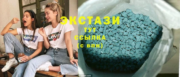 прущие грибы Бородино