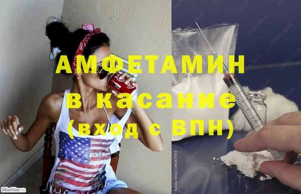 прущие грибы Бородино