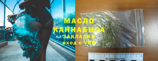 гидра Володарск