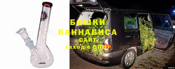 гидра Володарск