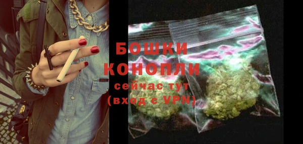 шишки Нягань