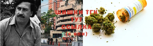 прущие грибы Бородино
