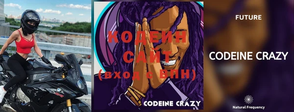 СК Няндома