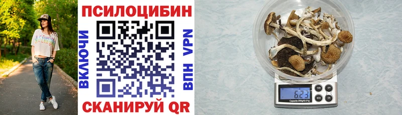 Галлюциногенные грибы ЛСД Жуков
